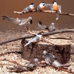 Decoración De Animales|Decoración De Primavera><noscript><img width=
