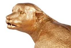 Decoración De Animales><noscript><img width=