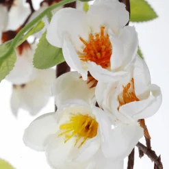 Decoración De Primavera|Guirnaldas Y Vides><noscript><img width=