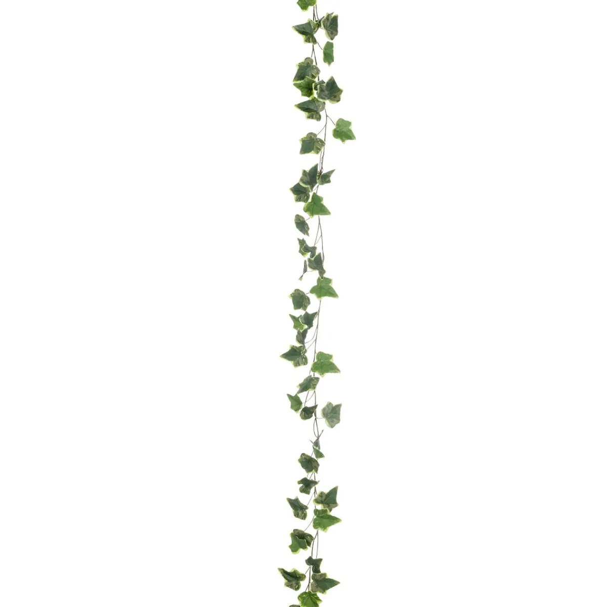 Decoración De Otoño|Guirnaldas Y Vides>DecoWoerner Guirnalda Artificial De Hiedra 220 Cm verde