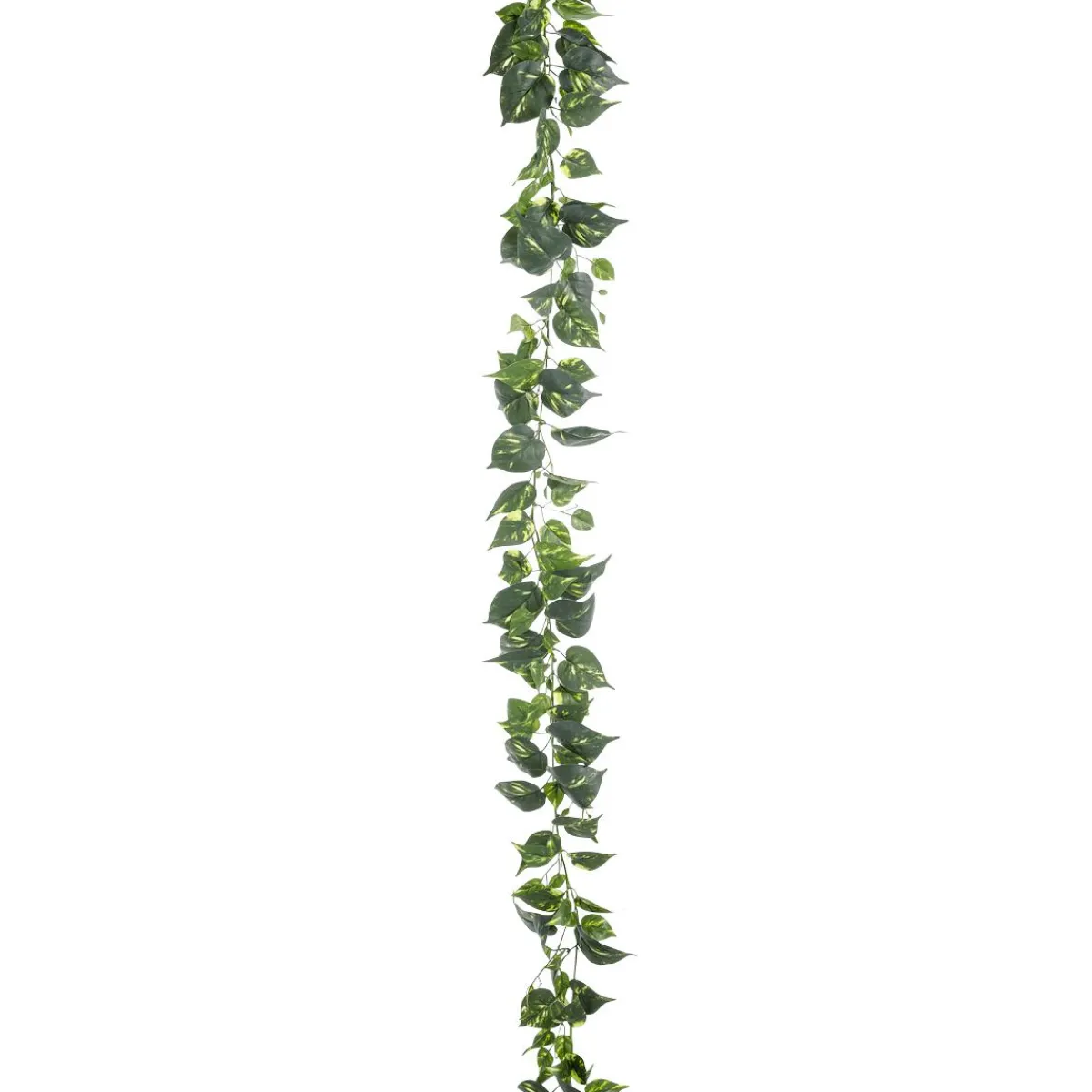 Guirnaldas Y Vides>DecoWoerner Guirnalda Artificial De Pothos 220 Cm verde