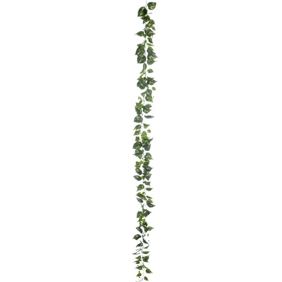 Guirnaldas Y Vides>DecoWoerner Guirnalda Artificial De Pothos 220 Cm verde