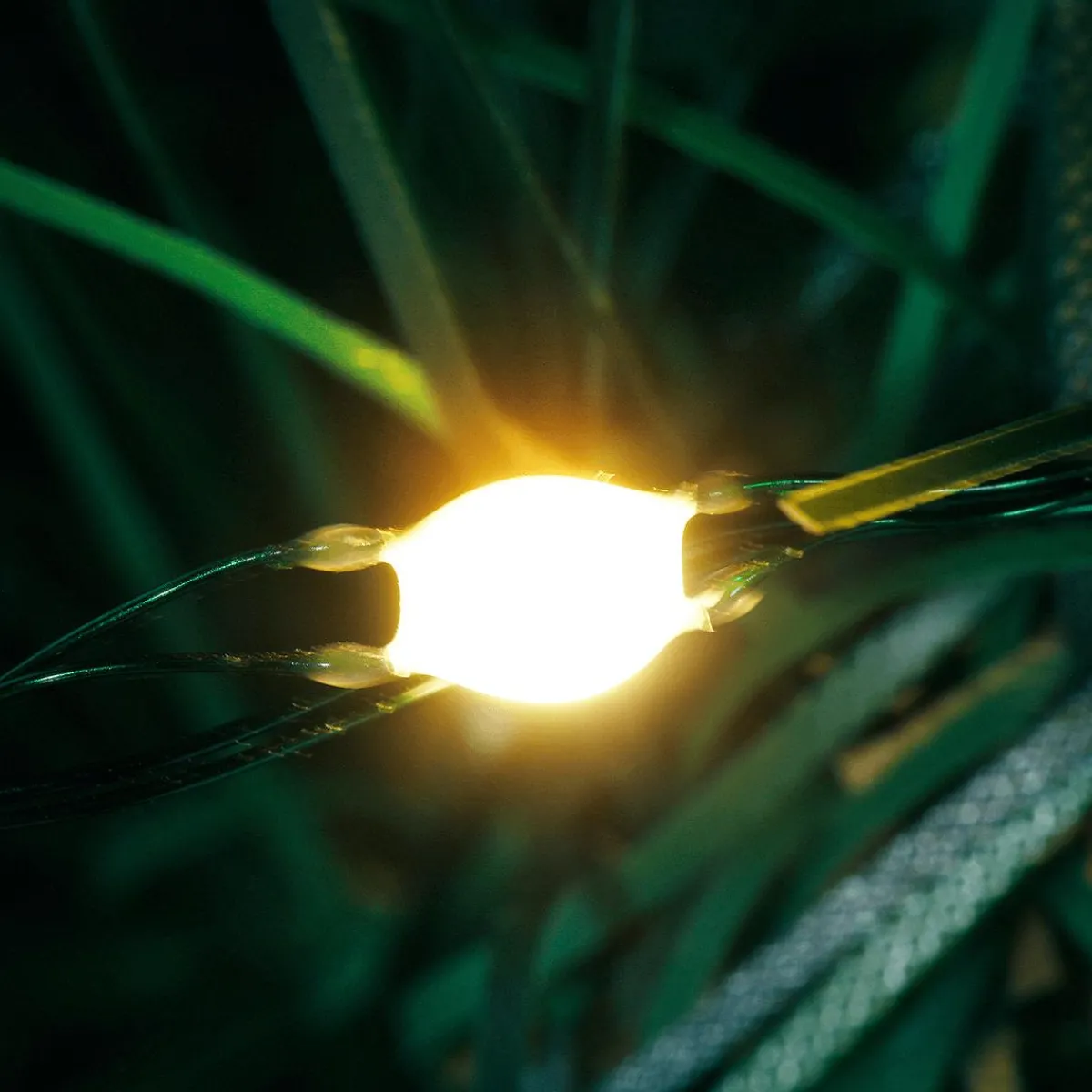 Guirnaldas De Navidad>DecoWoerner Guirnalda De Abeto Deluxe 270 Cm Con 200LEDs, 25 Cm Ø verde