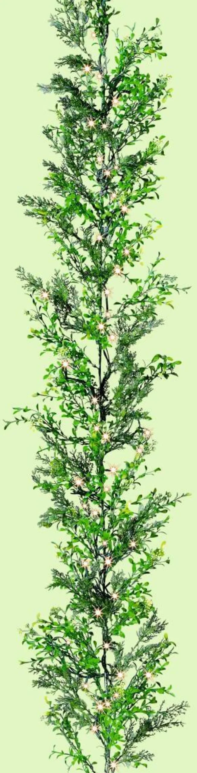 Guirnaldas Y Vides>DecoWoerner Guirnalda De Ciprés Y Boje, Longitud: 170 Cm verde