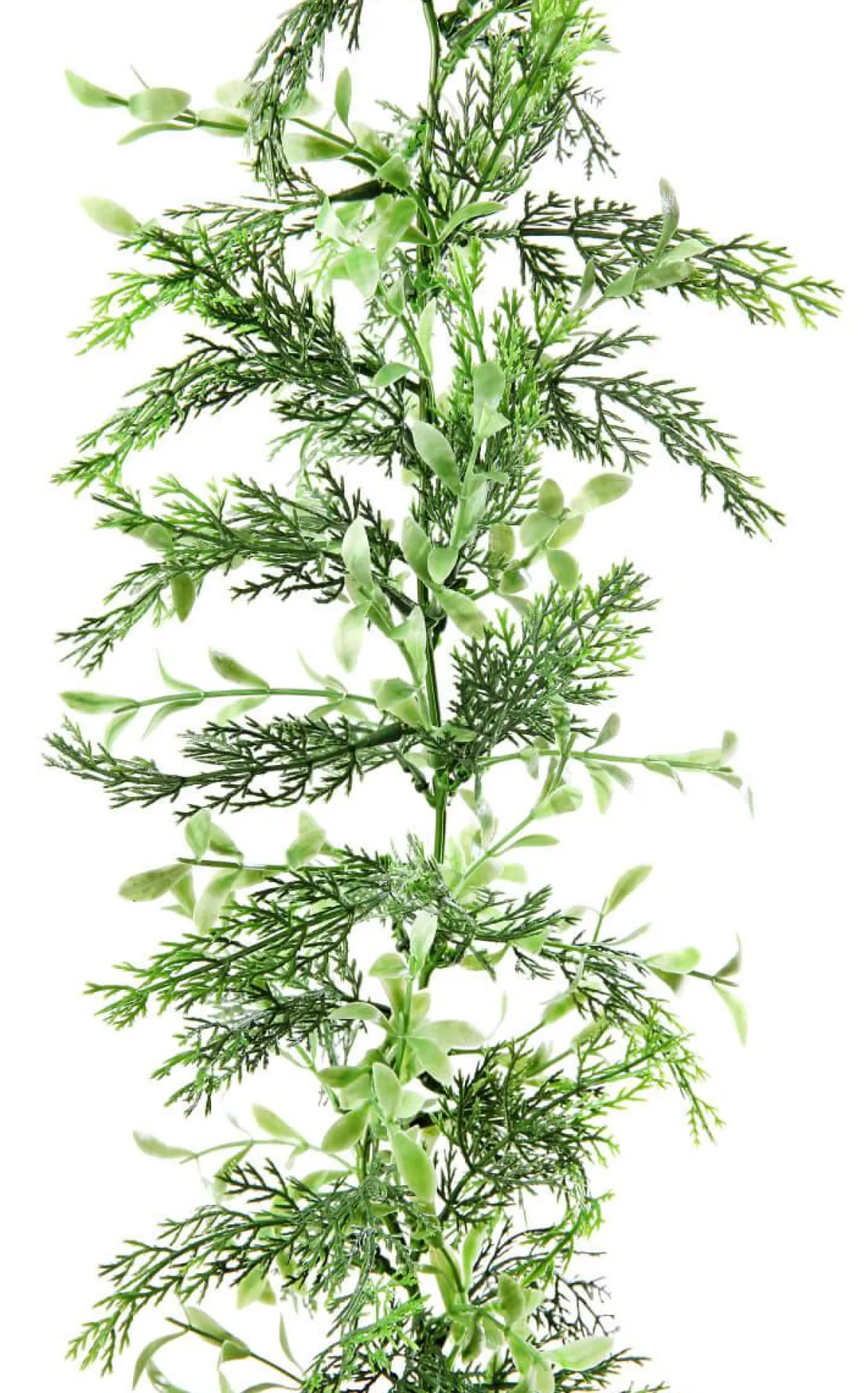 Guirnaldas Y Vides>DecoWoerner Guirnalda De Ciprés Y Boje, Longitud: 170 Cm verde