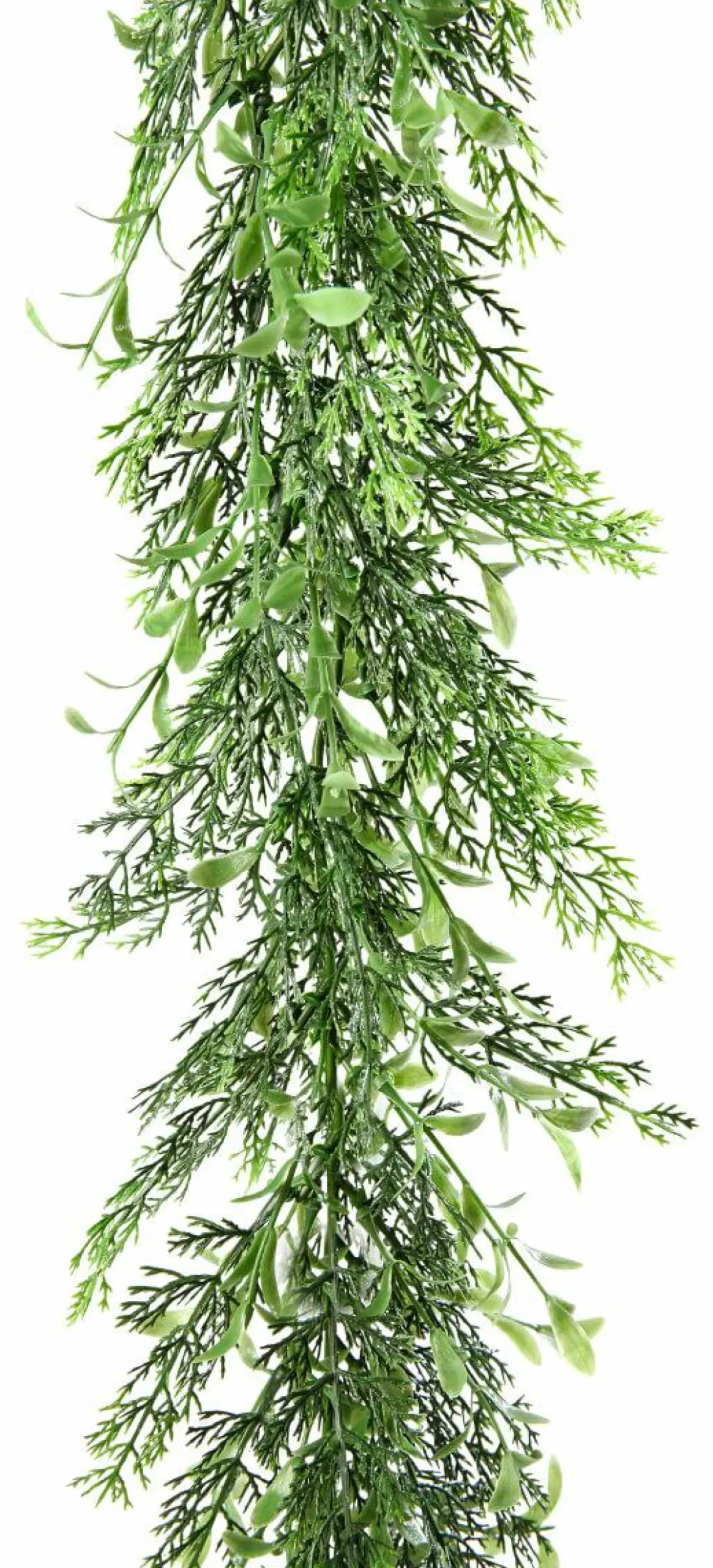 Guirnaldas Y Vides>DecoWoerner Guirnalda De Ciprés Y Boje, Longitud: 170 Cm verde