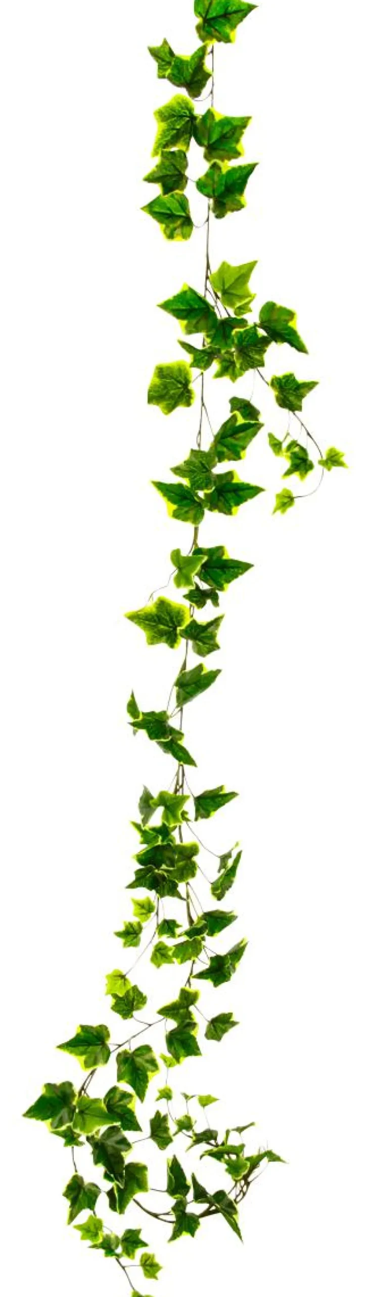 Decoración De Otoño|Guirnaldas Y Vides>DecoWoerner Guirnalda De Hiedra Artificial 170 Cm Amarillo verde