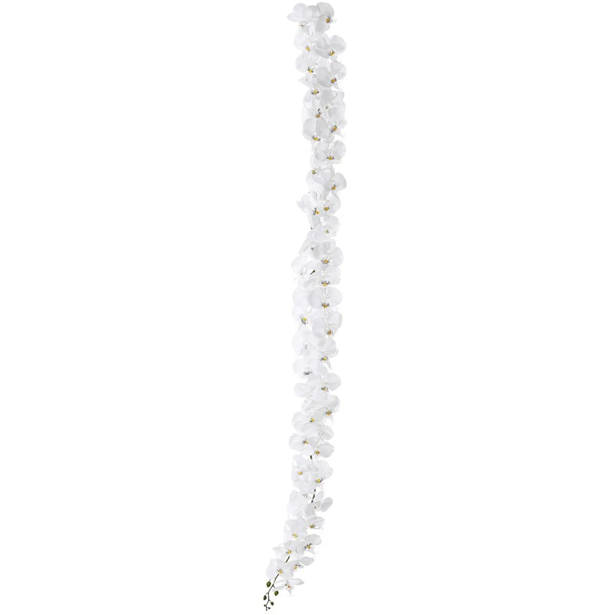 Guirnaldas Y Vides|Flores Artificiales>DecoWoerner Guirnalda De Orquídeas Artificiales Blancas 175 Cm blanco