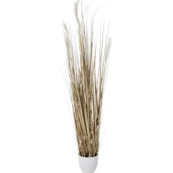 Hierba Decorativa>DecoWoerner Haz De Hierba Seca De 150 Cm De Altura, En Maceta Blanca Ø 20 Cm marrón