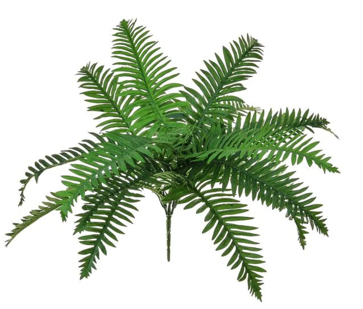 Decoración De Primavera|Plantas Verdes>DecoWoerner Helecho Artificial Poco Inflamable, 70 Cm verde