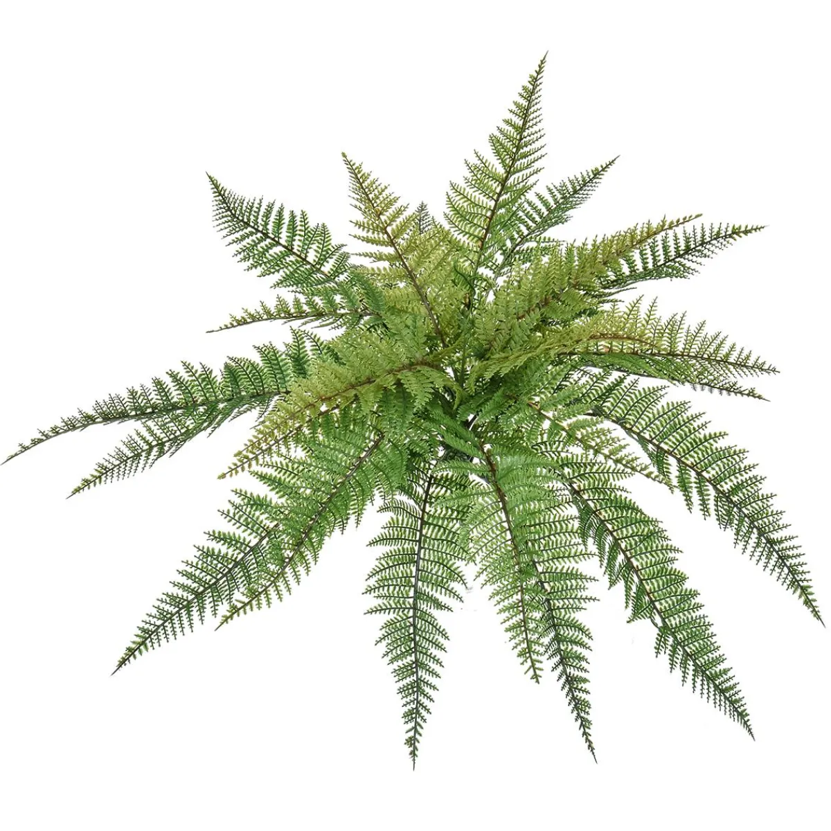 Plantas Verdes|Plantas Artificiales Ignífugas>DecoWoerner Helecho Planta Artificial Retardante De Llama 48 Cm verde