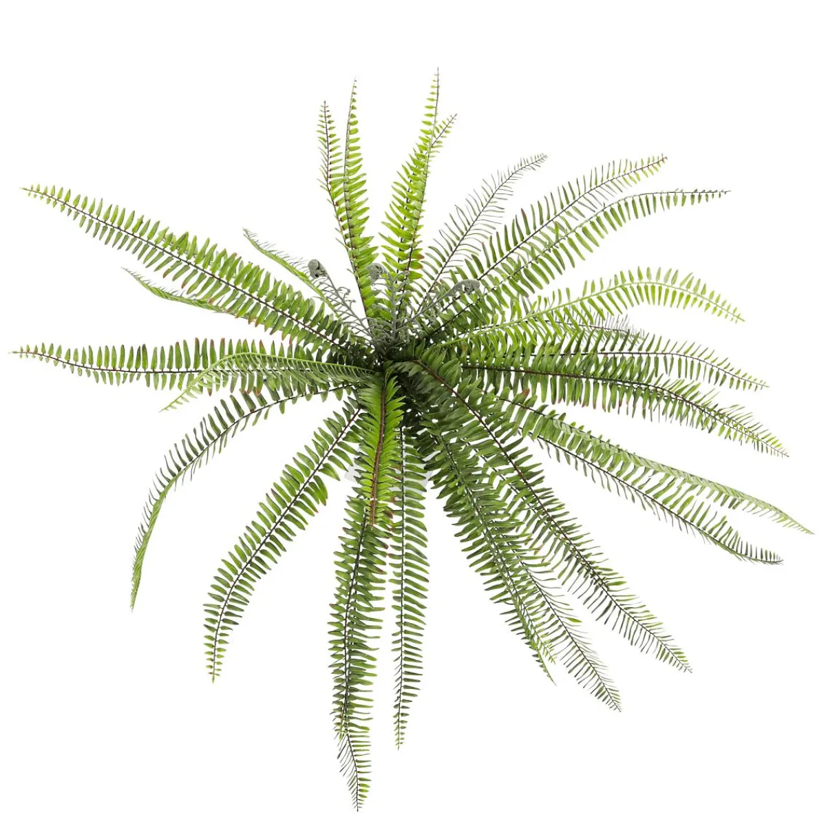 Plantas Verdes|Plantas De Interior>DecoWoerner Helecho XXL - Planta Artificial Con Palo De Inserción 100 Cm Ø verde