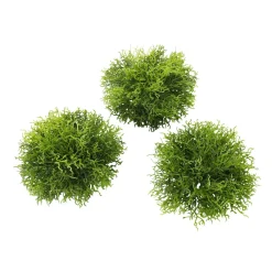 Decoración De Primavera|Plantas Verdes>DecoWoerner Hemisferios De Musgo Artificial Paquete 3 Piezas verde
