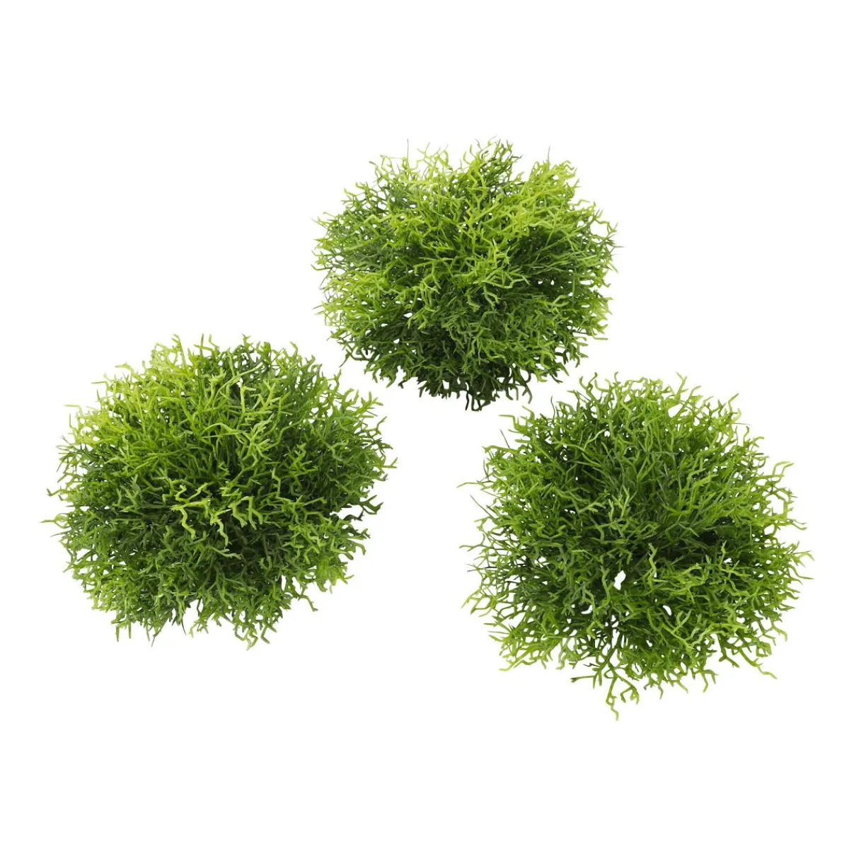 Decoración De Primavera|Plantas Verdes>DecoWoerner Hemisferios De Musgo Artificial Paquete 3 Piezas verde