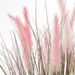 Hierba Decorativa><noscript><img width=