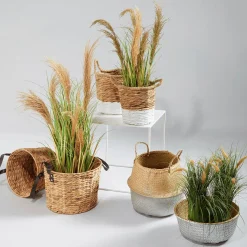 Hierba Decorativa><noscript><img width=