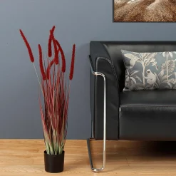 Hierba Decorativa><noscript><img width=