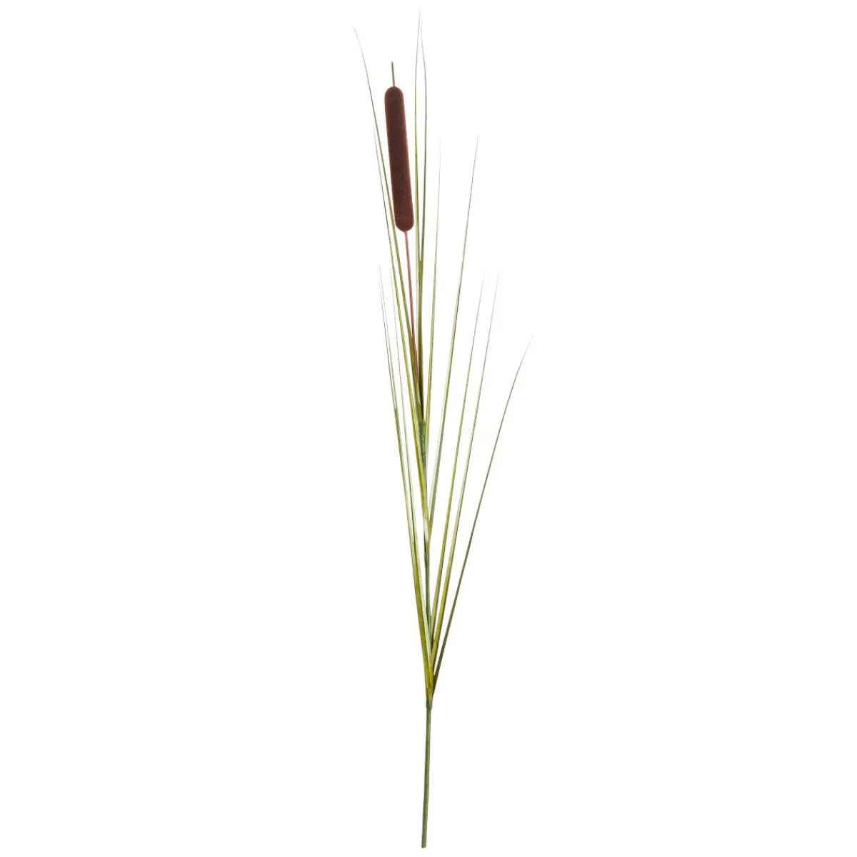 Decoración De Otoño|Decoración De Verano>DecoWoerner Hierba De Caña Deco 120 Cm Pack De 3 verde