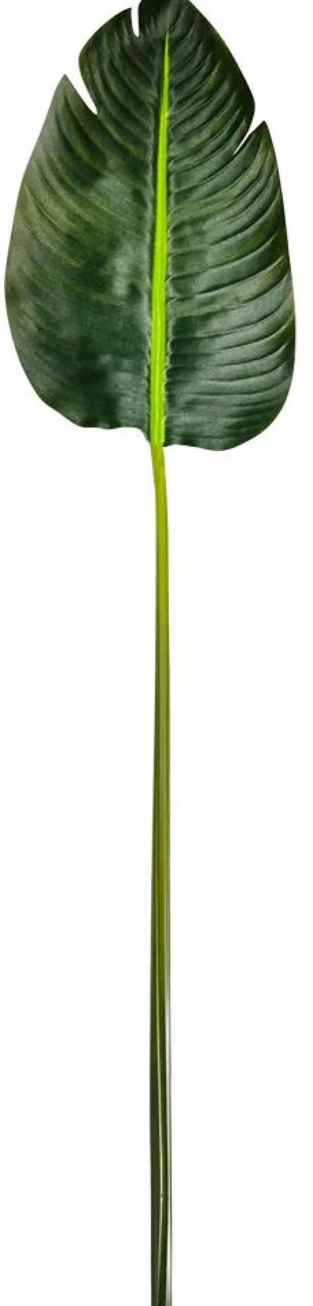 Decoración De Verano|Hojas>DecoWoerner Hoja De Banana Artificial, 75 Cm De Largo verde