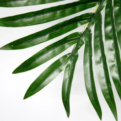 Decoración De Verano|Hojas><noscript><img width=