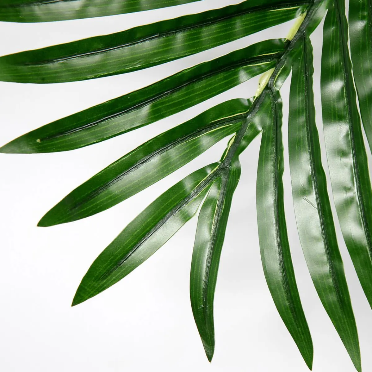 Decoración De Verano|Hojas>DecoWoerner Hoja De Palmera Areca Decorativa, Longitud 98 Cm verde