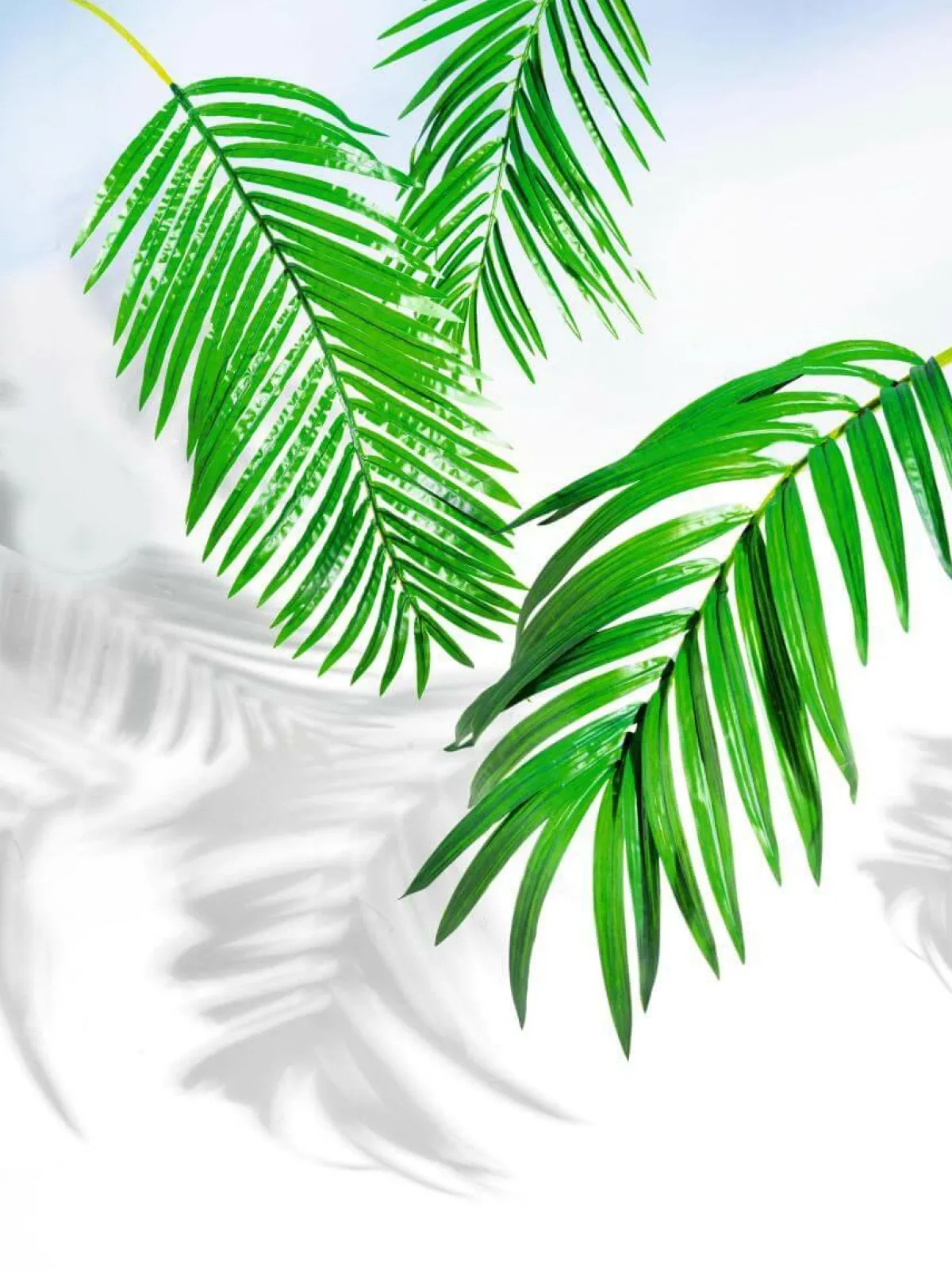Decoración De Verano|Hojas>DecoWoerner Hoja De Palmera Areca Decorativa, Longitud 98 Cm verde