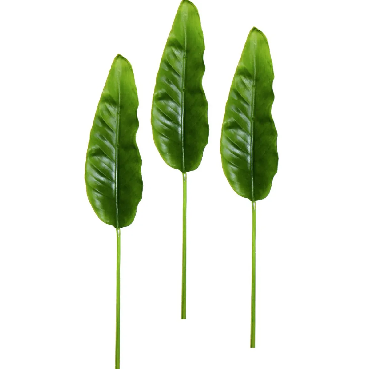 Decoración De Verano|Ramas Y Ramitas>DecoWoerner Hojas Artificiales De Strelizia 88 Cm, 3 Piezas verde