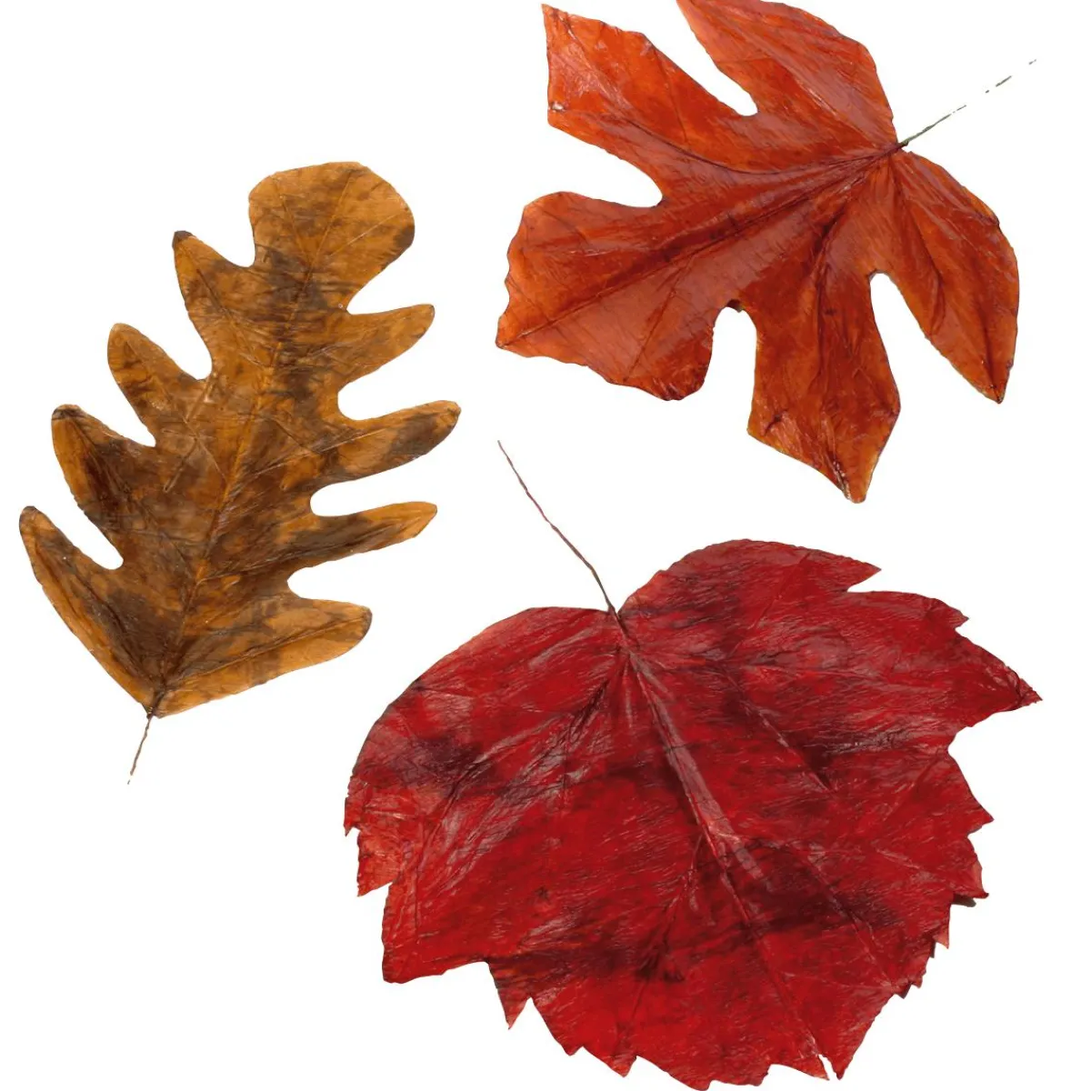 Decoración De Otoño|Hojas>DecoWoerner Hojas De Otoño Decorativas 80 Cm, 3 Pz. naranja
