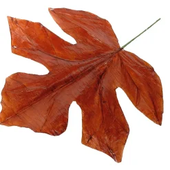 Decoración De Otoño|Hojas>DecoWoerner Hojas De Otoño Decorativas 80 Cm, 3 Pz. naranja