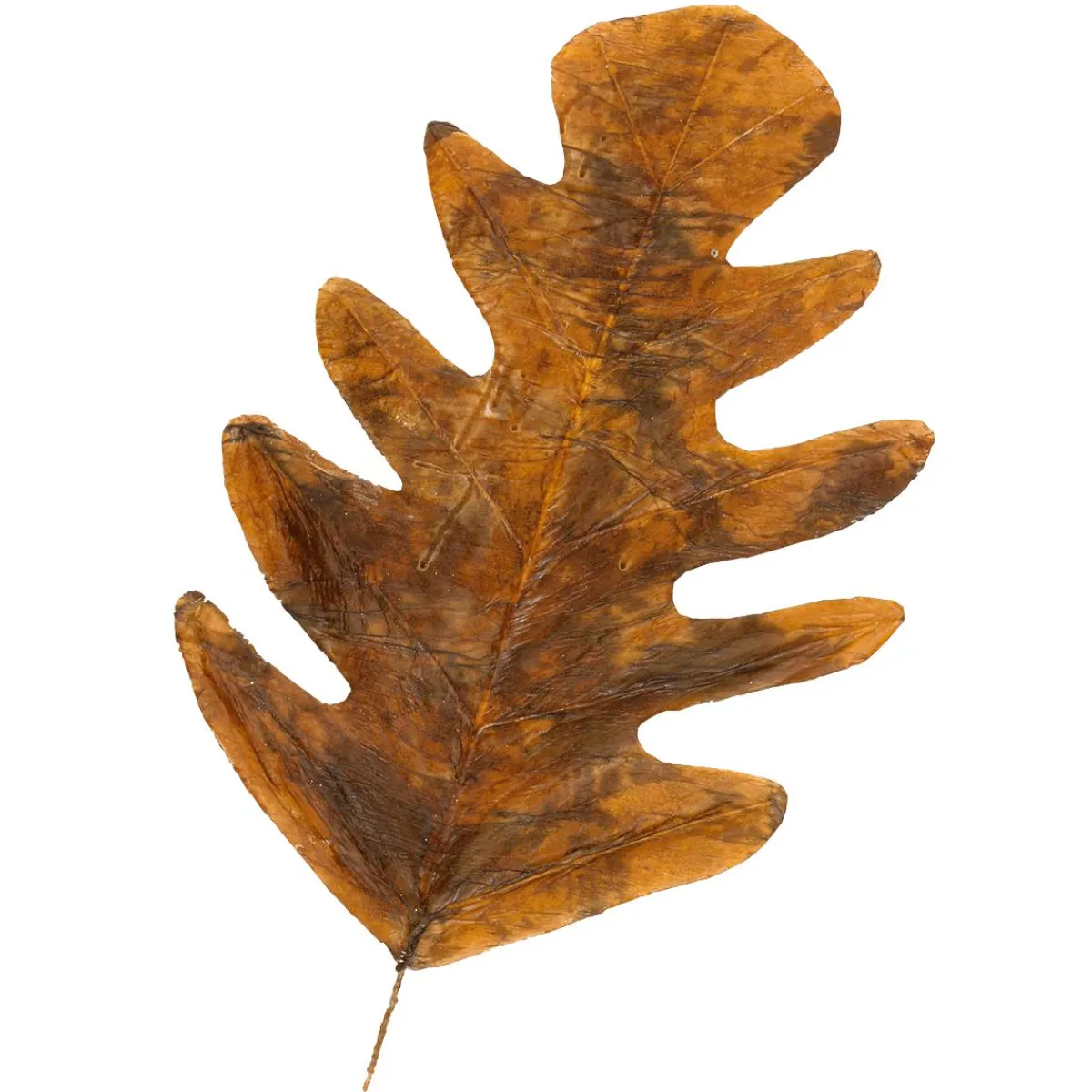 Decoración De Otoño|Hojas>DecoWoerner Hojas De Otoño Decorativas 80 Cm, 3 Pz. naranja