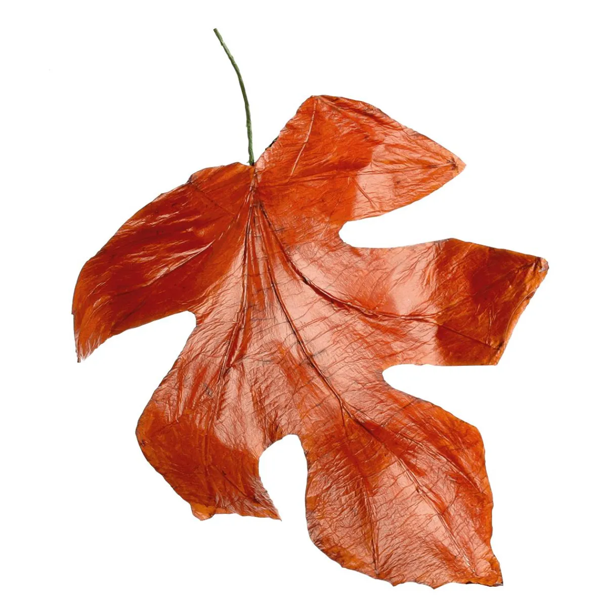 Decoración De Otoño|Hojas>DecoWoerner Hojas De Otoño Decorativas 80 Cm, 3 Pz. naranja