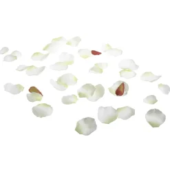 Decoración Dispersa|Decoración De Primavera><noscript><img width=