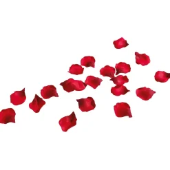 Decoración Dispersa|Decoración Temática>DecoWoerner Hojas De Rosas Rojas, 100 Piezas rojo