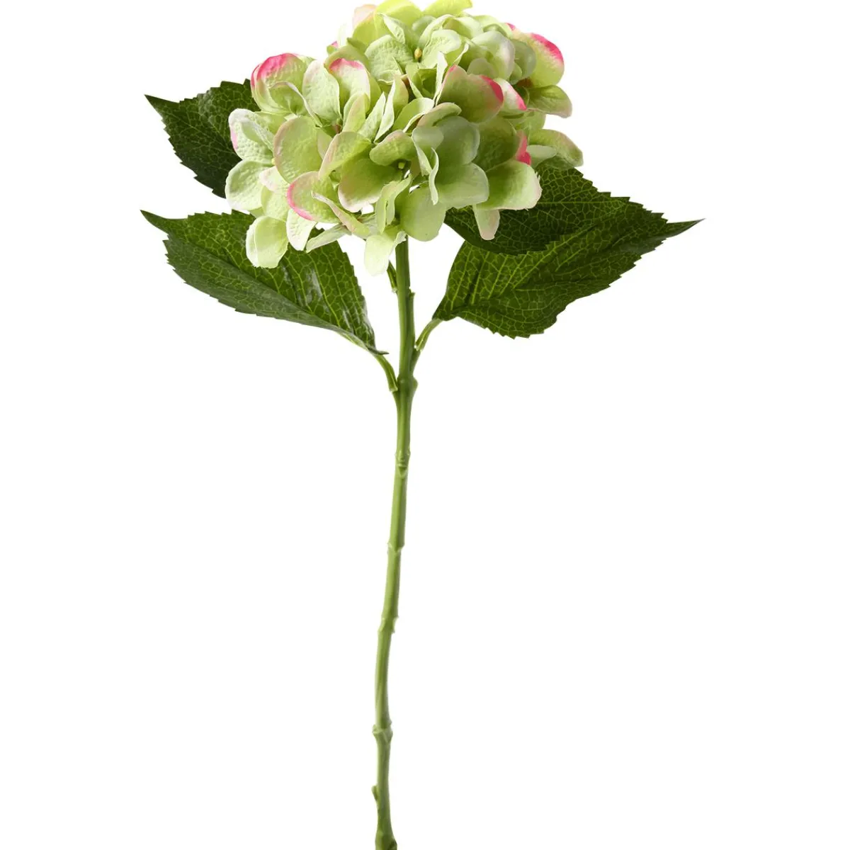 Decoración De Primavera|Flores Artificiales>DecoWoerner Hortensia Artificial , 52 Cm verde