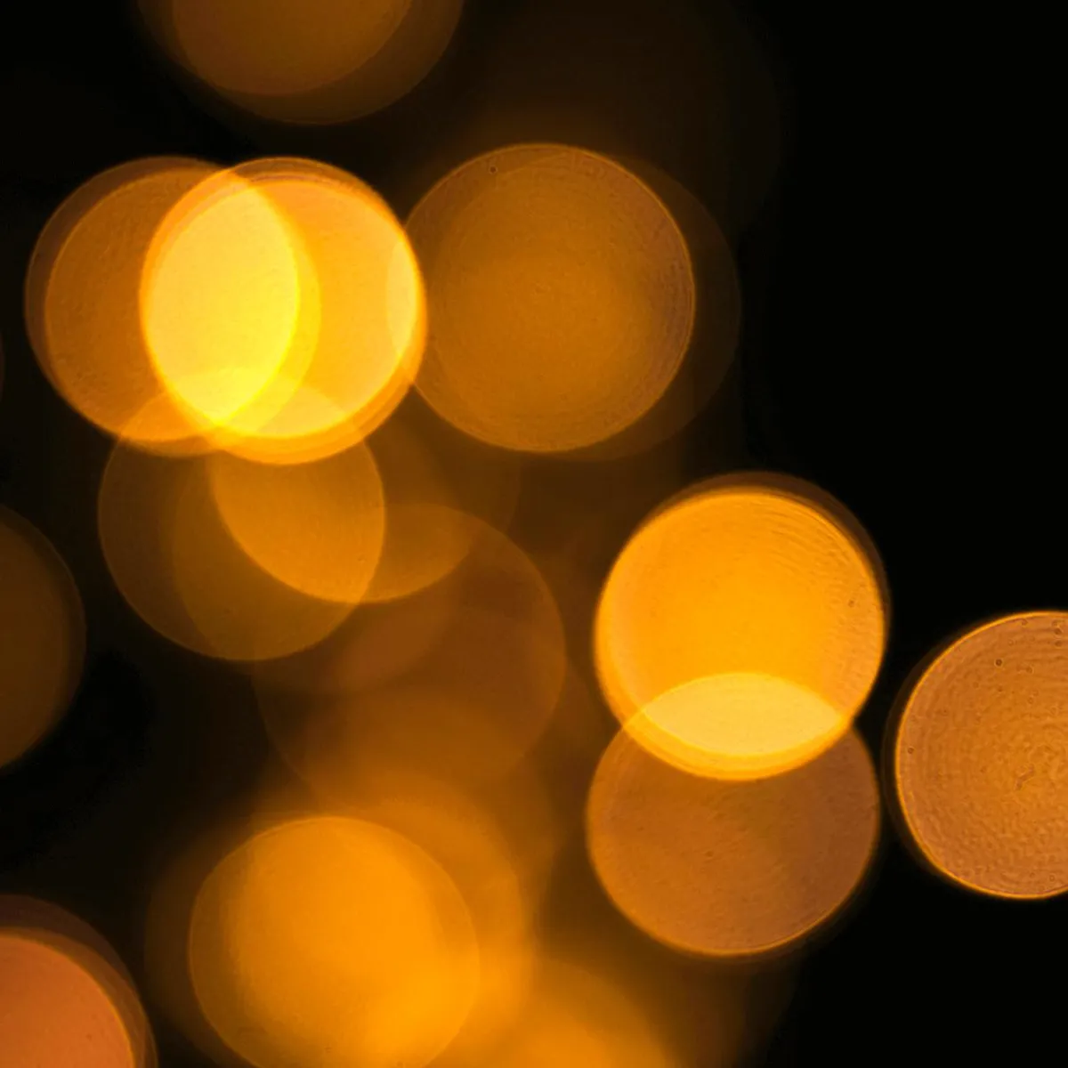 Luces De Navidad>DecoWoerner Icicle-Light LED Transparente 300 X 50 Cm IP20