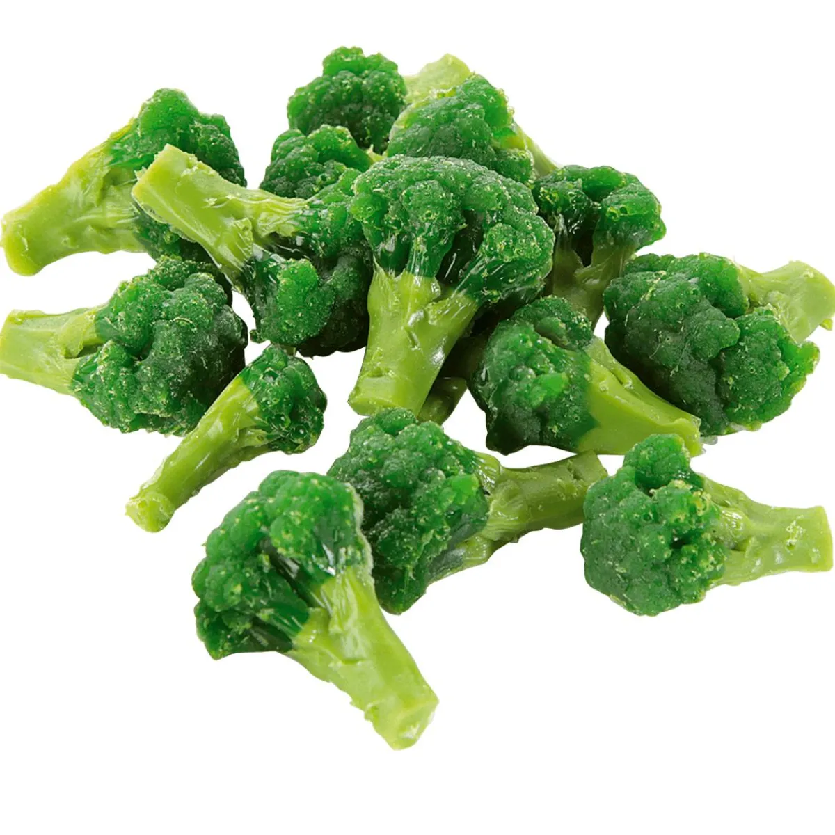 Platos Y Comida Rápida|Verduras Y Hierbas>DecoWoerner Imitación De Brócoli Escaldado, 100 G verde
