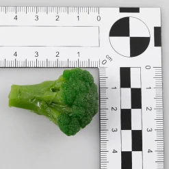 Platos Y Comida Rápida|Verduras Y Hierbas>DecoWoerner Imitación De Brócoli Escaldado, 100 G verde
