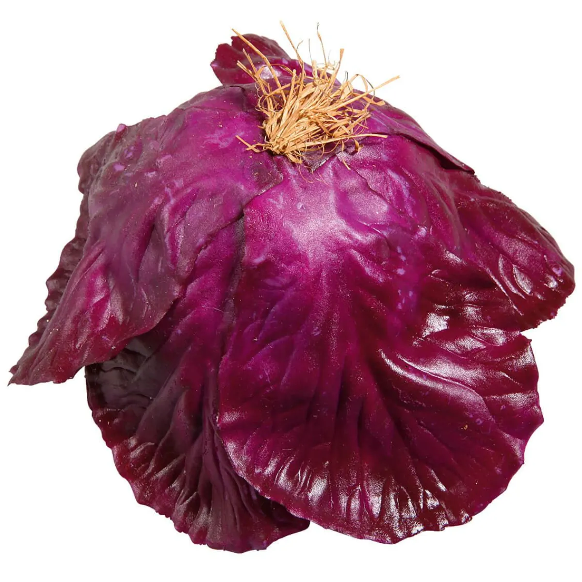 Verduras Y Hierbas>DecoWoerner Imitación De Col Lombarda, Ø 13 Cm violeta