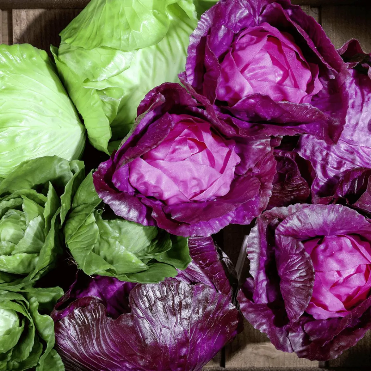 Verduras Y Hierbas>DecoWoerner Imitación De Col Lombarda, Ø 13 Cm violeta