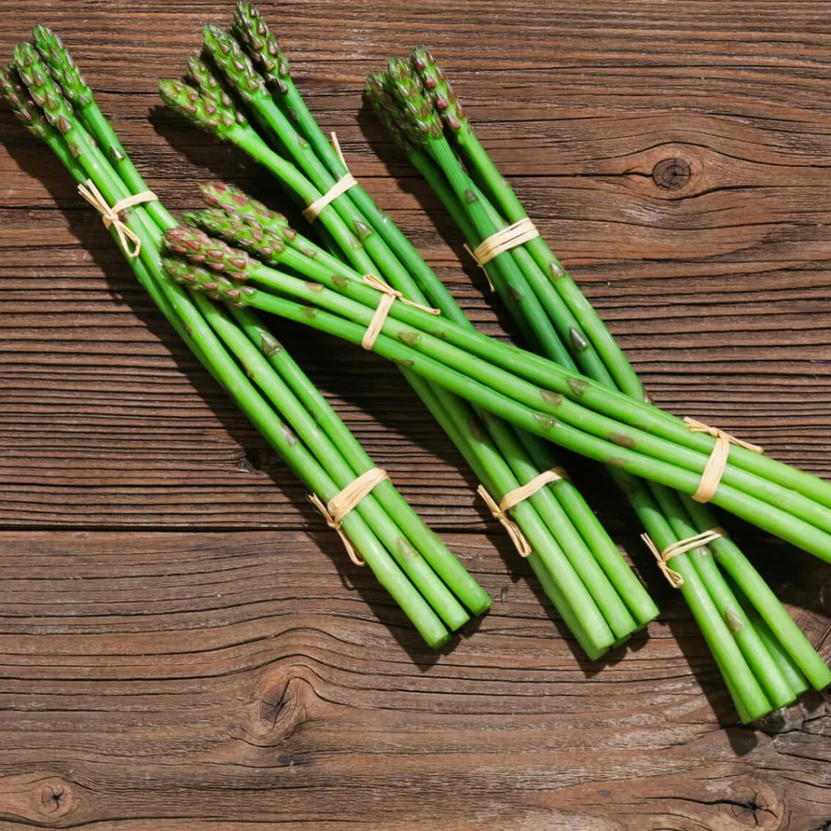Verduras Y Hierbas>DecoWoerner Imitación De Espárragos s, Paquete Con 4 Piezas verde