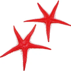 Decoración De Verano|Pescados Y Mariscos>DecoWoerner Imitación De Estrella Do Mar, 2 Piezas rojo