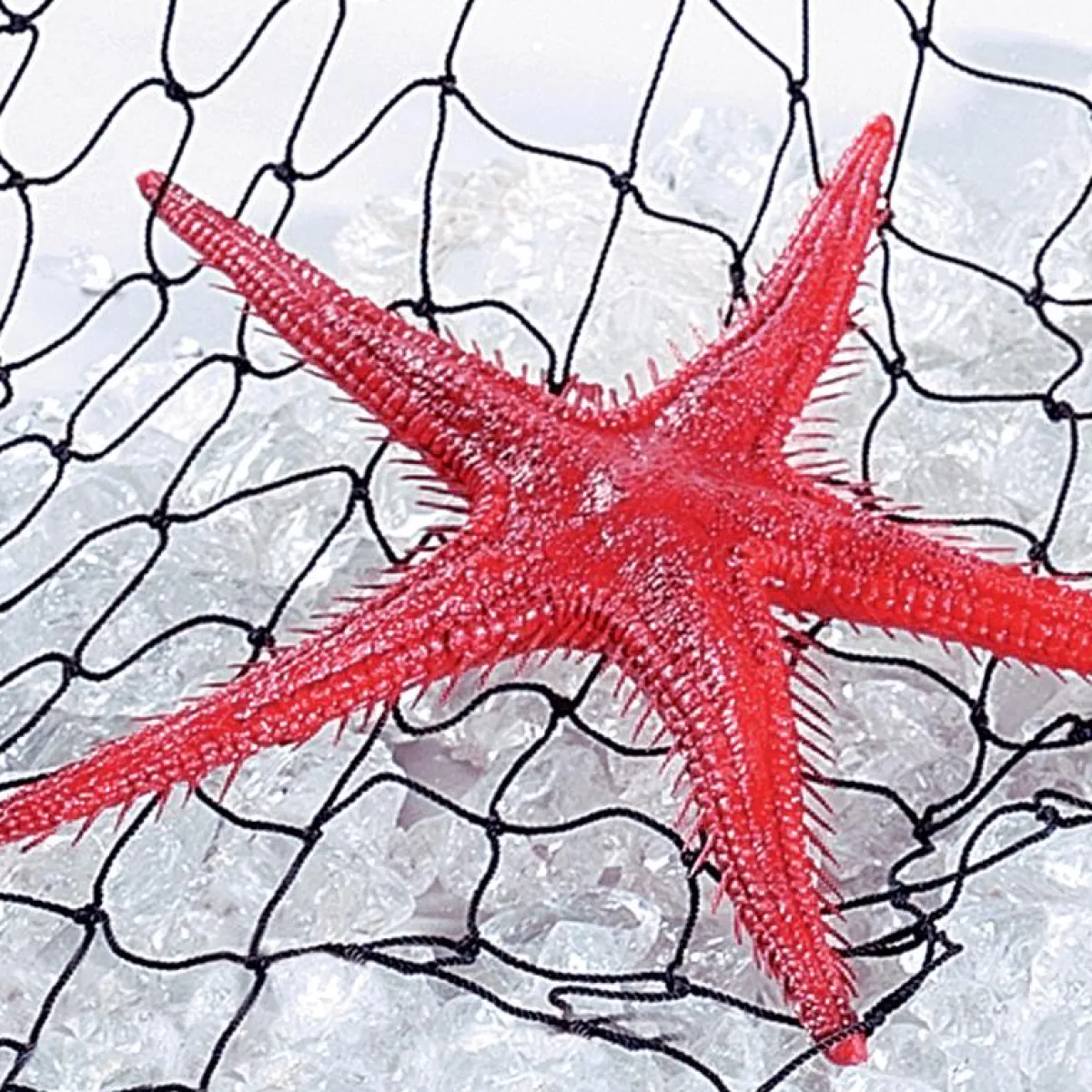 Decoración De Verano|Pescados Y Mariscos>DecoWoerner Imitación De Estrella Do Mar, 2 Piezas rojo