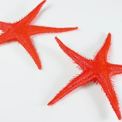 Decoración De Verano|Pescados Y Mariscos><noscript><img width=