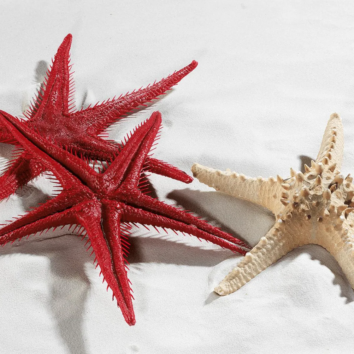 Decoración De Verano|Pescados Y Mariscos>DecoWoerner Imitación De Estrella Do Mar, 2 Piezas rojo