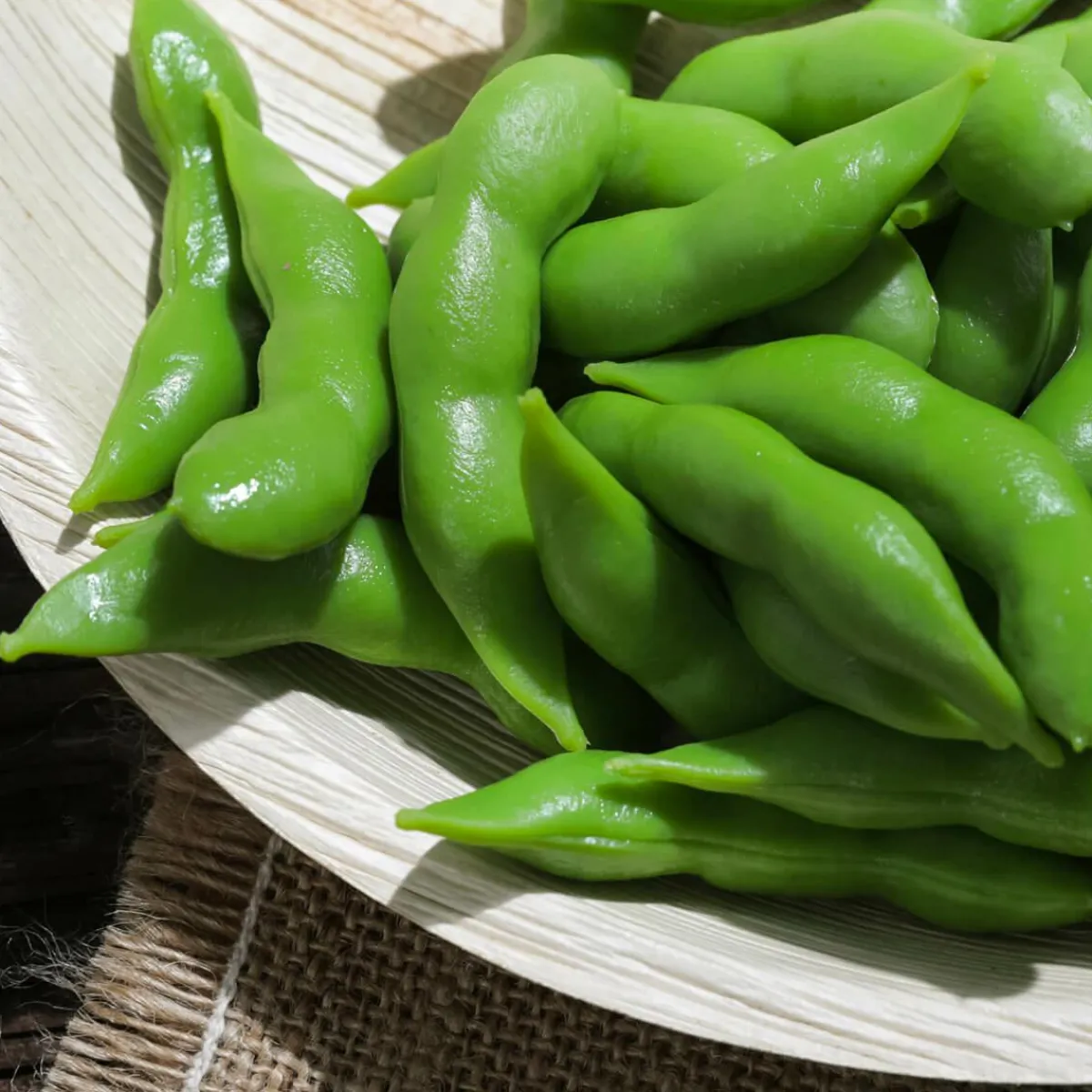 Verduras Y Hierbas>DecoWoerner Imitación De Judías s, 10 Piezas verde