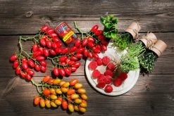 Verduras Y Hierbas><noscript><img width=