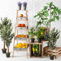 Frutas><noscript><img width=