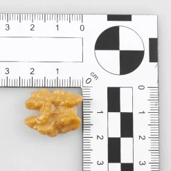 Frutas>DecoWoerner Imitación De Mitades De Nuez, 12 Piezas marrón