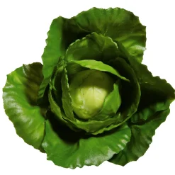 Verduras Y Hierbas>DecoWoerner Imitación De Repollo, Ø 13 Cm verde