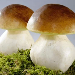 Verduras Y Hierbas><noscript><img width=